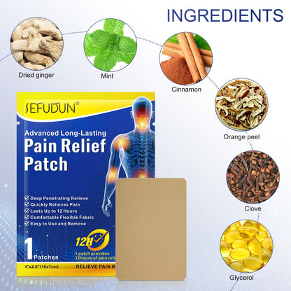 Herbal Instant Pain Relief Patch (Buy 1 Get 1 Free🔥🔥)